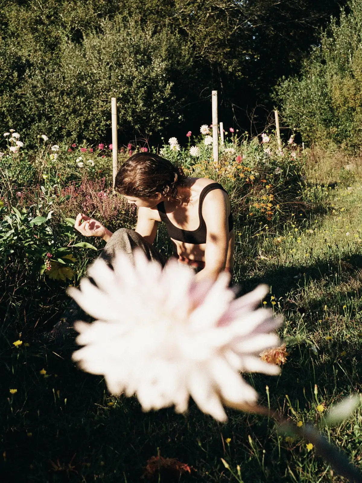 Women's valentin organic cotton explore Hemen Biarritz