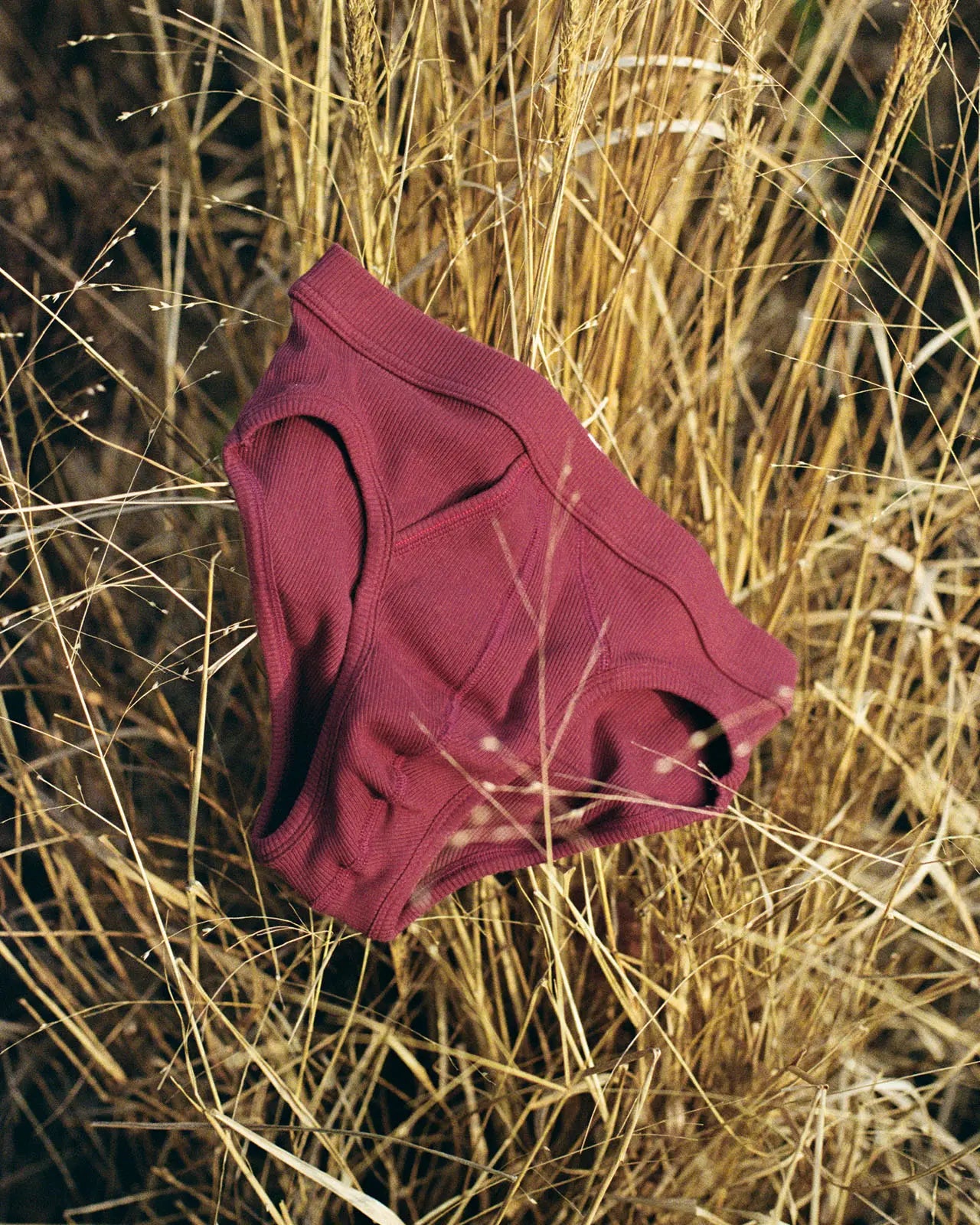 Men's brief Dennis quality underwear Hemen Biarritz