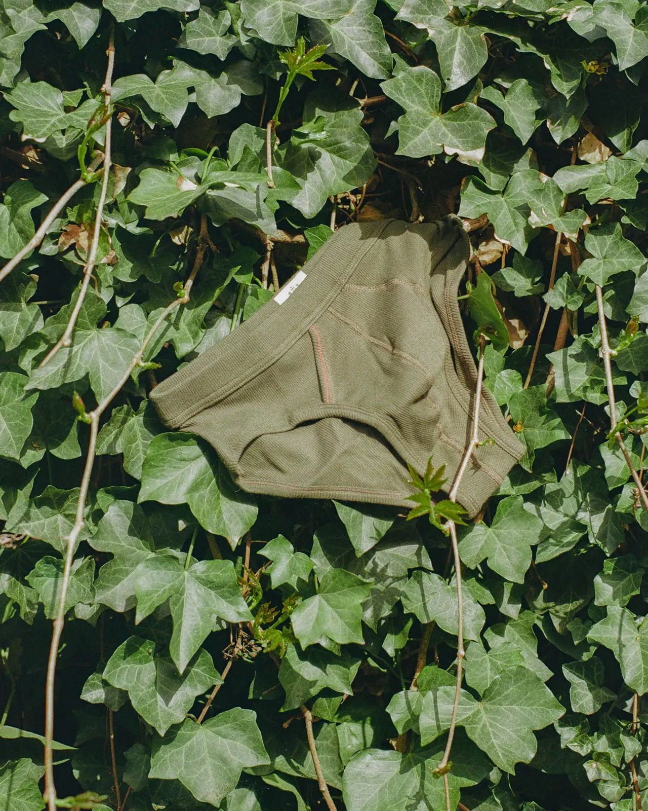Men's brief Dennis quality underwear Hemen Biarritz
