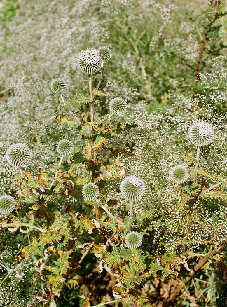 DENNIS brief danel boxer mario slider men hemen marque homme men coton cotton bio organic sustainable